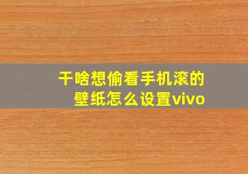 干啥想偷看手机滚的壁纸怎么设置vivo