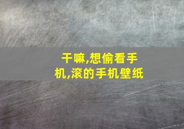 干嘛,想偷看手机,滚的手机壁纸