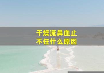 干燥流鼻血止不住什么原因