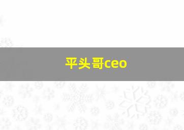 平头哥ceo