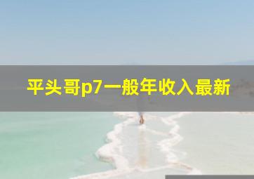 平头哥p7一般年收入最新