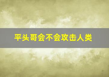 平头哥会不会攻击人类