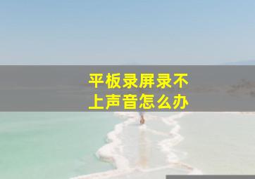 平板录屏录不上声音怎么办