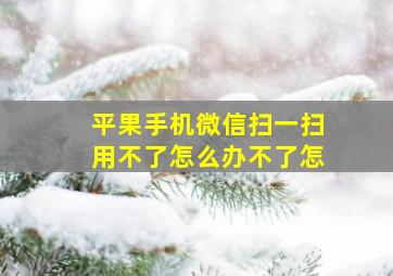 平果手机微信扫一扫用不了怎么办不了怎