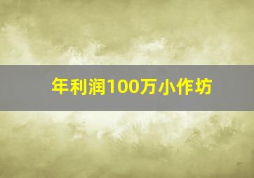 年利润100万小作坊