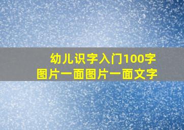 幼儿识字入门100字图片一面图片一面文字