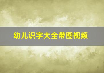 幼儿识字大全带图视频