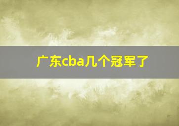 广东cba几个冠军了