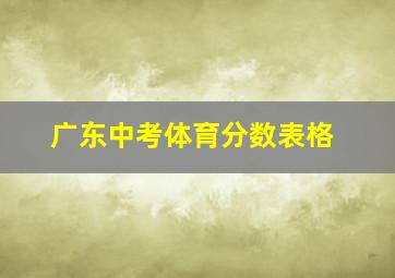 广东中考体育分数表格