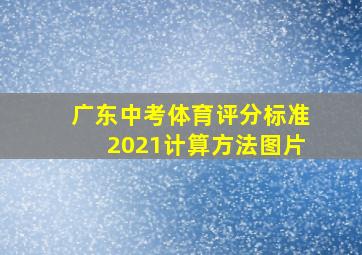 广东中考体育评分标准2021计算方法图片