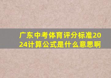 广东中考体育评分标准2024计算公式是什么意思啊