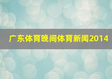 广东体育晚间体育新闻2014