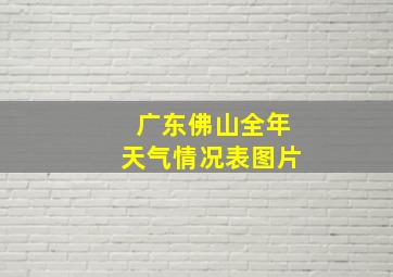 广东佛山全年天气情况表图片