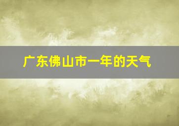 广东佛山市一年的天气