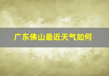 广东佛山最近天气如何