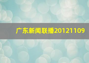 广东新闻联播20121109