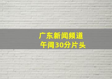 广东新闻频道午间30分片头