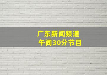 广东新闻频道午间30分节目