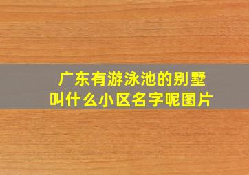 广东有游泳池的别墅叫什么小区名字呢图片