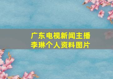 广东电视新闻主播李琳个人资料图片