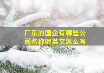 广东的国企有哪些公司名称呢英文怎么写