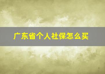 广东省个人社保怎么买