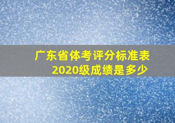 广东省体考评分标准表2020级成绩是多少