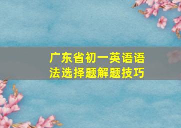 广东省初一英语语法选择题解题技巧