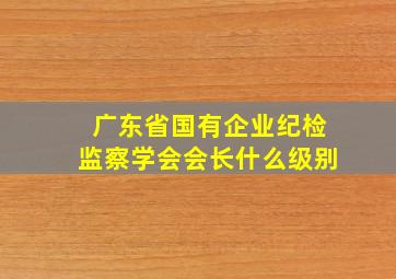 广东省国有企业纪检监察学会会长什么级别