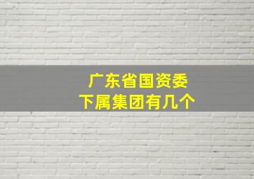 广东省国资委下属集团有几个