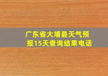 广东省大埔县天气预报15天查询结果电话