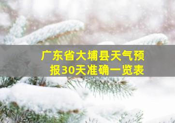 广东省大埔县天气预报30天准确一览表