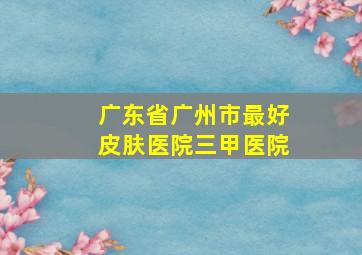 广东省广州市最好皮肤医院三甲医院