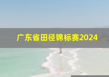 广东省田径锦标赛2024