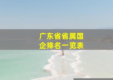 广东省省属国企排名一览表