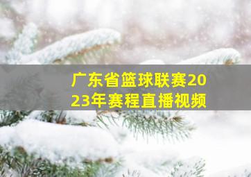 广东省篮球联赛2023年赛程直播视频