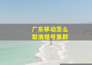 广东移动怎么取消短号集群