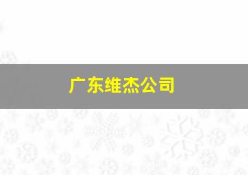 广东维杰公司