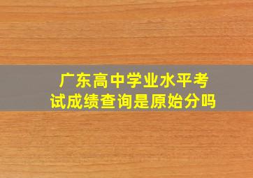 广东高中学业水平考试成绩查询是原始分吗