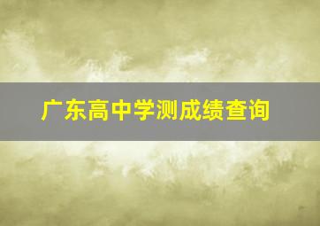 广东高中学测成绩查询