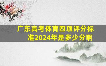 广东高考体育四项评分标准2024年是多少分啊