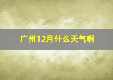 广州12月什么天气啊