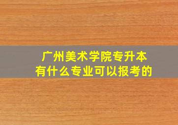 广州美术学院专升本有什么专业可以报考的