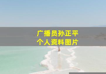 广播员孙正平个人资料图片