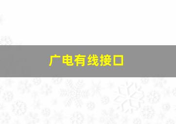 广电有线接口