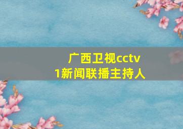 广西卫视cctv1新闻联播主持人