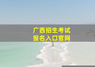 广西招生考试报名入口官网