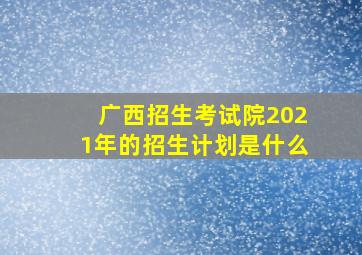 广西招生考试院2021年的招生计划是什么