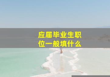 应届毕业生职位一般填什么