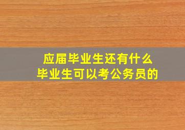 应届毕业生还有什么毕业生可以考公务员的